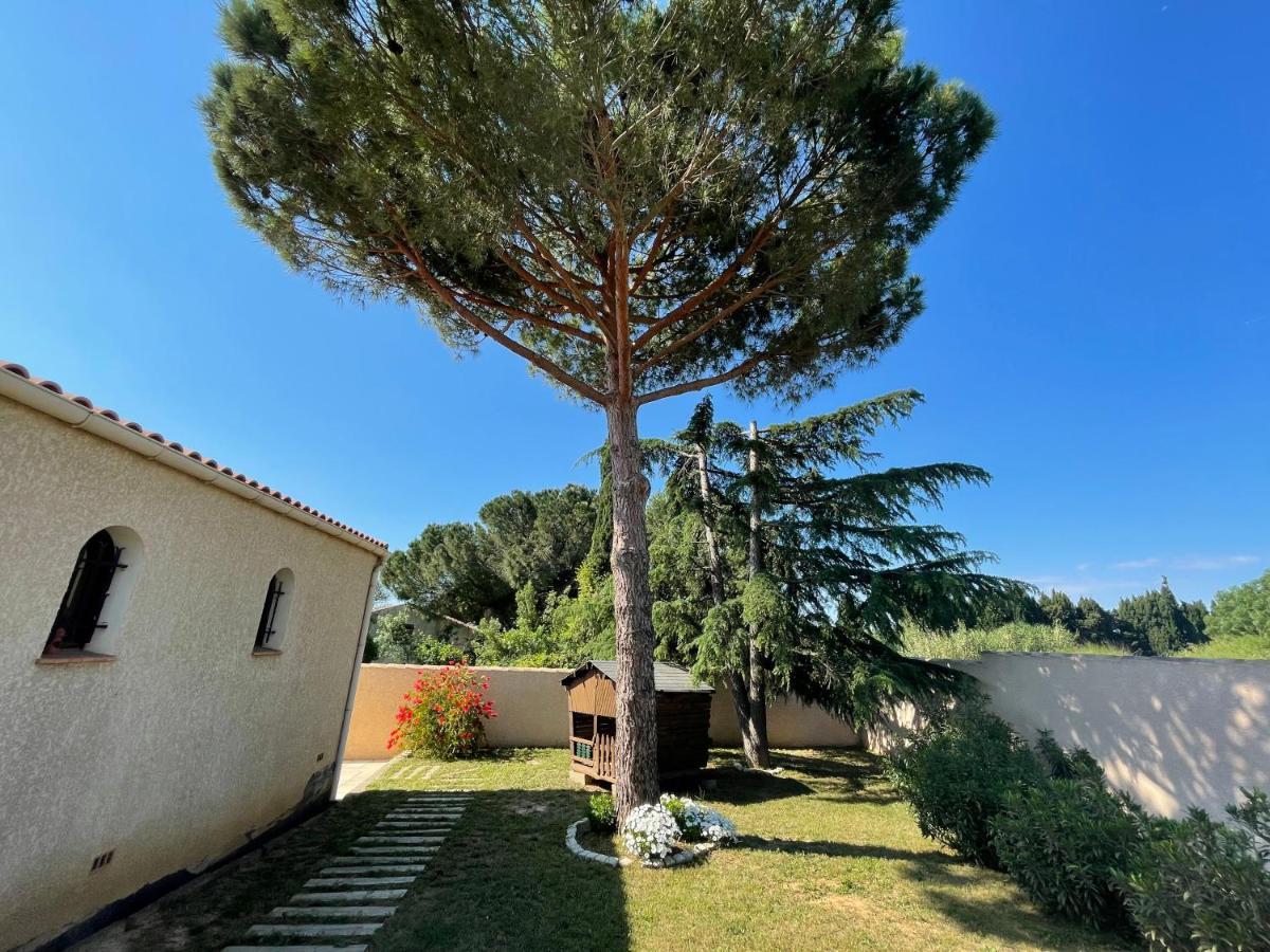 Annexe Des Pins - Studio Gite Avec Piscine & Climatisation Вильнёв-ле-Безье Экстерьер фото
